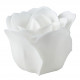 Coffret de 12 roses en feuilles de savon blanches et nude - Parfum Rose