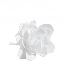 Flor de Banho Peónia