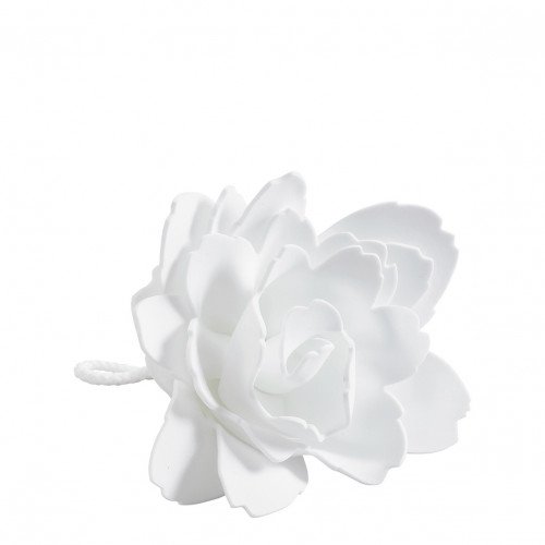 Peony Shower Flower