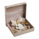 Carnets d'Artistes Crown - Freesia Delight
