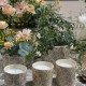 Conjunto de 3 velas perfumadas Jardins de Sintra Ornamento 190 g - Citronela