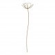 Flor decorativa