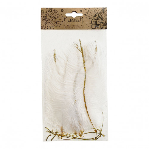 Sacchetto di 6 piume decorative da appendere