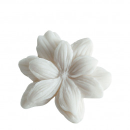 Boîte de 4 décors fondants Jasmin en cire parfumée - Sublime Jasmin