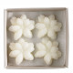 Caixa com 4 decorações fundentes de Jasmim em cera perfumada - Sublime Jasmim