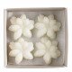 Box of 4 Jasmine scented wax melting decorations - Sublime Jasmin
