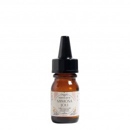 Sobreconcentrado de perfume de ambiente Sol da Provença 10 ml - Mimosa Joli