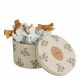 Caixa de 5 decorações perfumadas - Flor de Tangerina