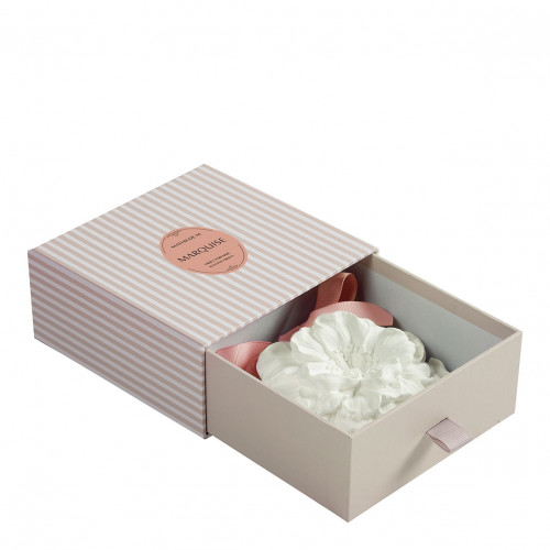 Gran Flor perfumada - Marquise