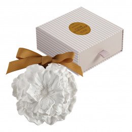 Grande Flor perfumada - Flor de Laranjeira