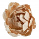 Ramo de 3 decorações vegetais secas - Rosa envelhecido