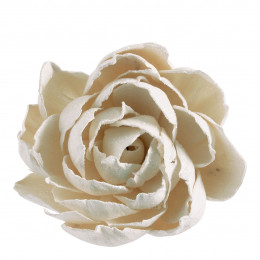 Bouquet de 3 décorations végétales séchées - Blanc pailleté