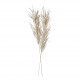 Dried Plant Decoration - Glittery White