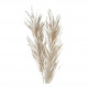 Decoração vegetal seca - Branco cintilante