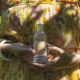 Eau de toilette 100 ml - Fleur de Mandarine