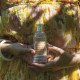 Eau de toilette 100 ml - Fleur de Mandarine