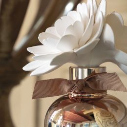 Diffuseur de parfum d'ambiance Valse florale 200 ml - Rose Élixir