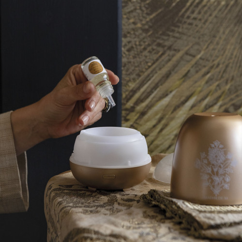 Surconcentrato di profumo per ambienti Les Intemporelles 10 ml - Voile de Lin