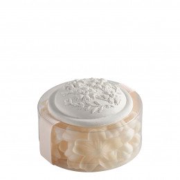 Caixa de pétalas de sabonete perfumado brancas e nude - Perfume Rosa