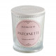 Vela perfumada Les Intemporelles 145 g - Antoinette