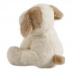 Peluche Chien beige