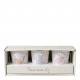 Conjunto de 3 copos Amour d'Oiseau