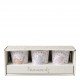 Conjunto de 3 copos Amour d'Oiseau