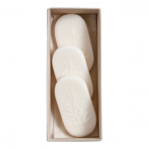 Set of 3 scented wax melts - Délicate Verveine