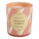 Bougie parfumée Bain de Soleil 160 g - Mangue Sorbet