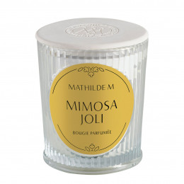 Bougie parfumée Les Intemporelles 145 g - Mimosa Joli