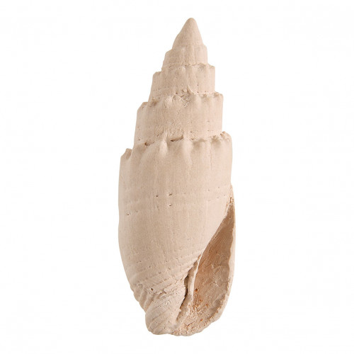 Cabas cofre perfume de ambiente 30 ml y decoraciones perfumadas Bain de Soleil - Perle de Coco
