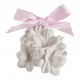 Conjunto de descoberta Les Intemporelles en Fleurs - Marquise