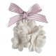 Discovery Set Intemporelles en Fleurs - Rose Élixir