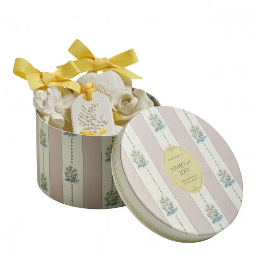 Estuche de 5 decoraciones perfumadas - Mimosa Joli