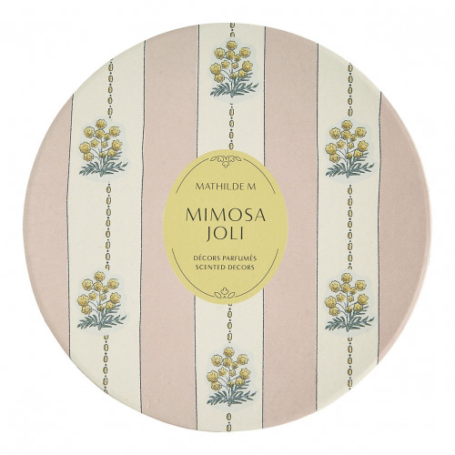 Estuche de 5 decoraciones perfumadas - Mimosa Joli