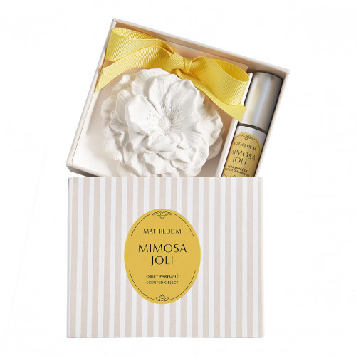 Les Intemporelles scented decoration and fragrance concentrate - Mimosa Joli