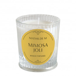 Vela Perfumada Les Intemporelles 65 g - Mimosa Joli