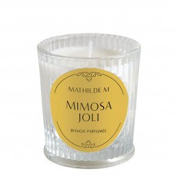 Vela Perfumada Les Intemporelles 65 g - Mimosa Joli