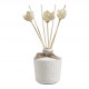 Room fragrance diffuser Petite Indienne 200 ml - Soleil Pastel