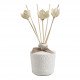 Room fragrance diffuser Petite Indienne 200 ml - Soleil Pastel