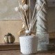 Petite Indienne 200 ml Room Fragrance Diffuser - Mimosa Joli