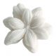 Boîte de 4 décors fondants Jasmin en cire parfumée - Sublime Jasmin