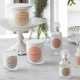 Scented candle Les Intemporelles 65 g - Douceur d'Ambre