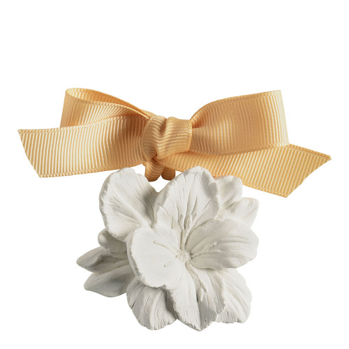 Coffret de 5 décors parfumés - Douceur d'Ambre