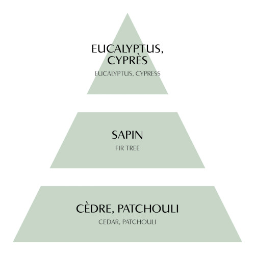Recharge de parfum d'ambiance Fête Nacrée 200 ml - Sapin Givré