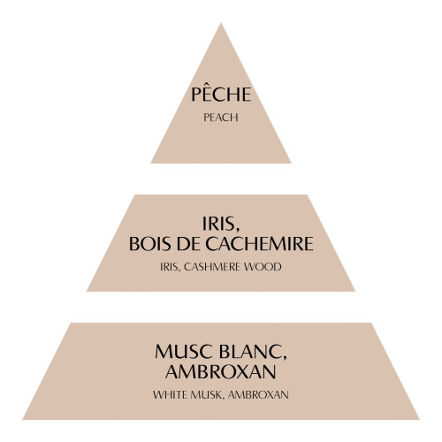 Concentrato di profumo per ambiente Les Intemporelles 4 ml - Bois de Cachemire