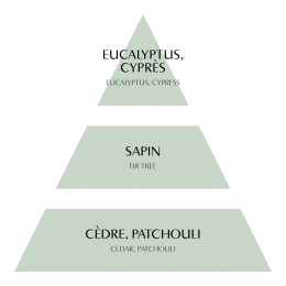Concentré de parfum d'ambiance Fête Nacrée 4 ml - Sapin Givré