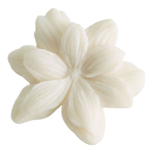 Coffret de 4 décors fondants en cire parfumée - Bois de Cachemire Coffret de 4 décors fondants en cire parfumée - Bois de Cachemire