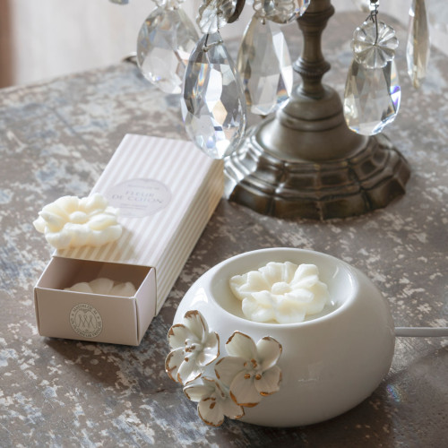 Coffret de 3 décors fondants en cire parfumée - Vanille Dorée