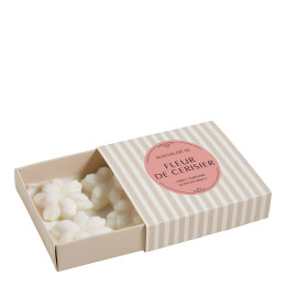 Set of 4 Scented Wax Melts - Fleur de Cerisier